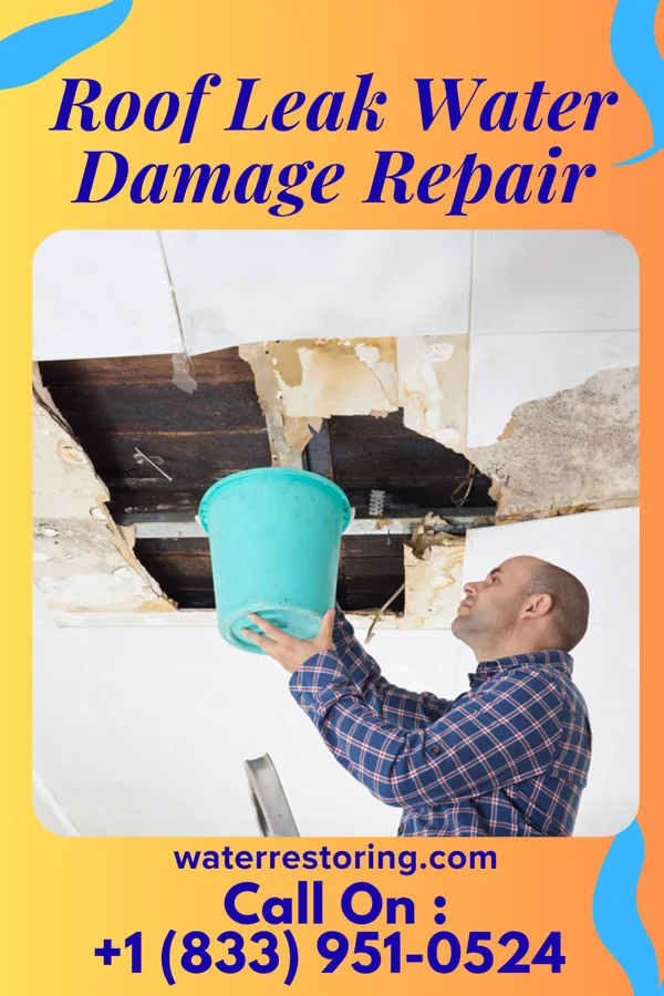 Roof Leak Water Damage Repair in Pittman Center, TN